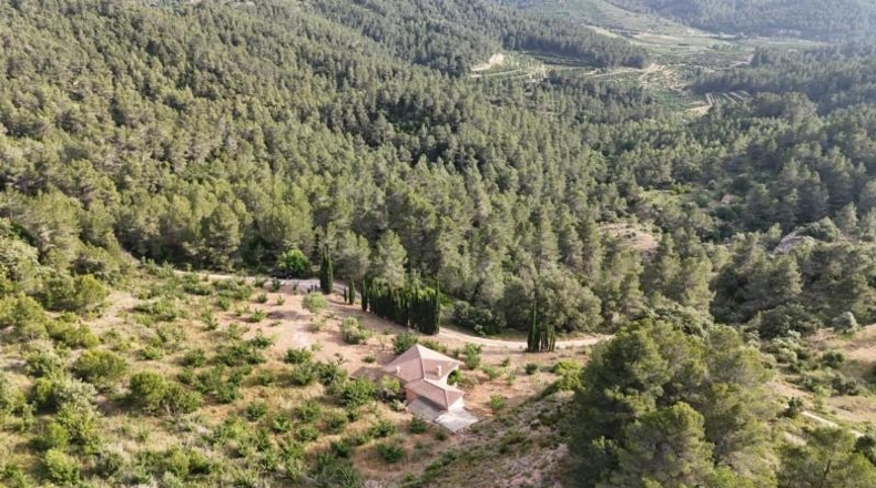 Tarragona - Tivissa - 27228m2