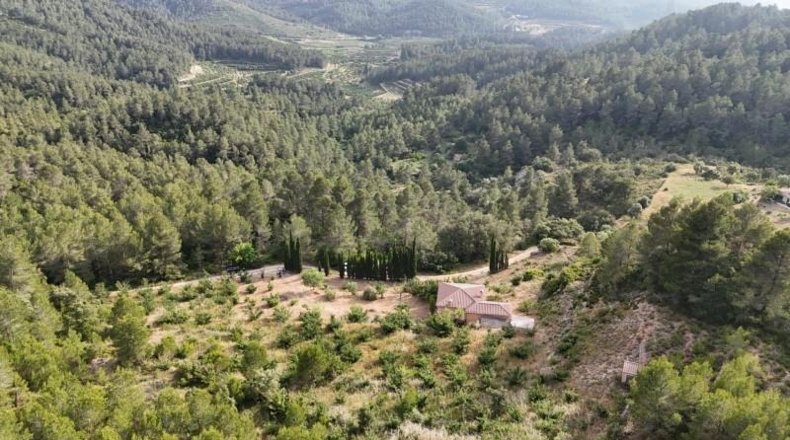 Tarragona - Tivissa - 27228m2