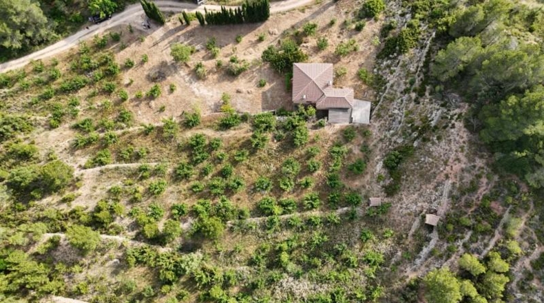 Tarragona - Tivissa - 27228m2