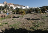 Sòl urbà en venda a la España, Felix, ref.: TR309301 foto
