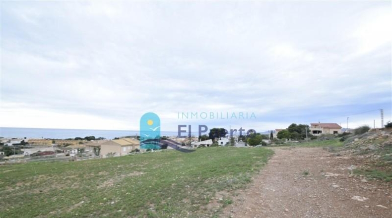 Murcia - Cartagena - 7229m2