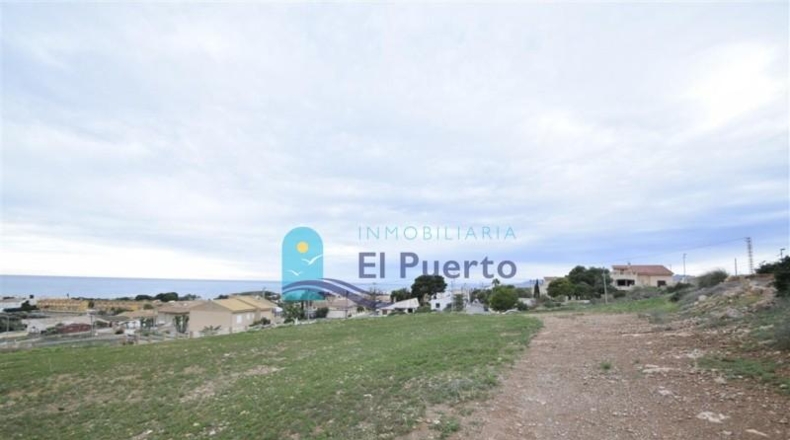 Murcia - Cartagena - 7229m2