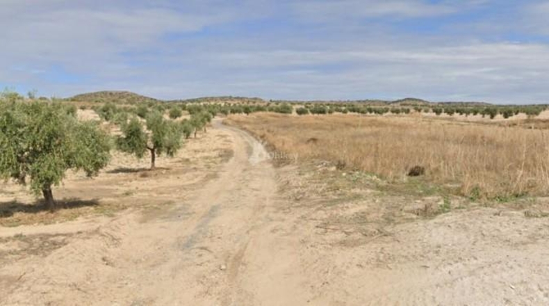 Comunidad de Madrid - Villaconejos - 131153m2