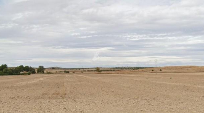 Comunidad de Madrid - Villaconejos - 131153m2