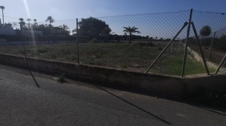 Alicante - Elche - 12000m2