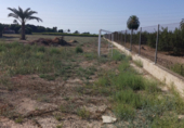 Terreno no urbanizable en venta en la España, Elche, ref: TR115369 foto