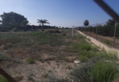 Terreno no urbanizable en venta en la España, Elche, ref: TR115369 foto