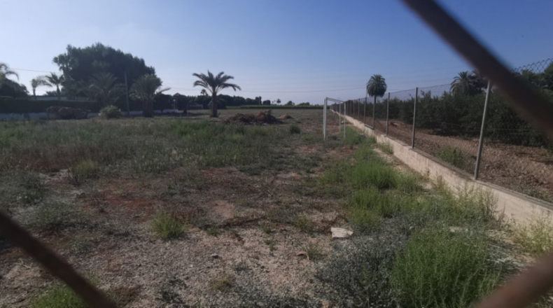 Alicante - Elche - 12000m2