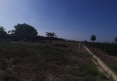 Terreno no urbanizable en venta en la España, Elche, ref: TR115369 foto