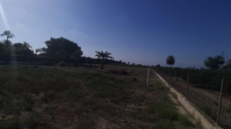 Alicante - Elche - 12000m2