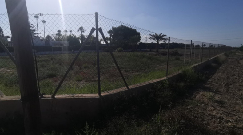 Alicante - Elche - 12000m2
