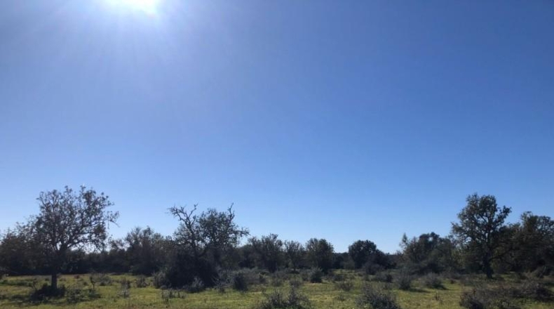 Balearic Islands - Porreras - 14250m2