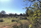 Land suitable for development for sale on España, Porreras, ref: TR120514 photo