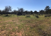 Land suitable for development for sale on España, Porreras, ref: TR120514 photo