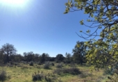 Land suitable for development for sale on España, Porreras, ref: TR120514 photo
