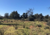 Land suitable for development for sale on España, Porreras, ref: TR120514 photo
