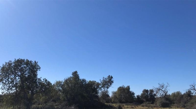Balearic Islands - Porreras - 14250m2