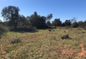 Land suitable for development for sale on España, Porreras, ref: TR120514 photo