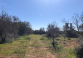 Land suitable for development for sale on España, Porreras, ref: TR120514 photo