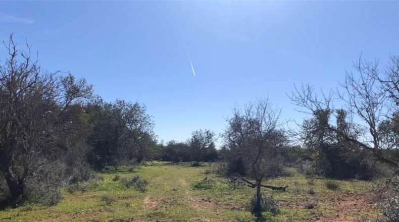 Balearic Islands - Porreras - 14250m2