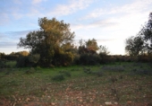 Land suitable for development for sale on España, Porreras, ref: TR120514 photo