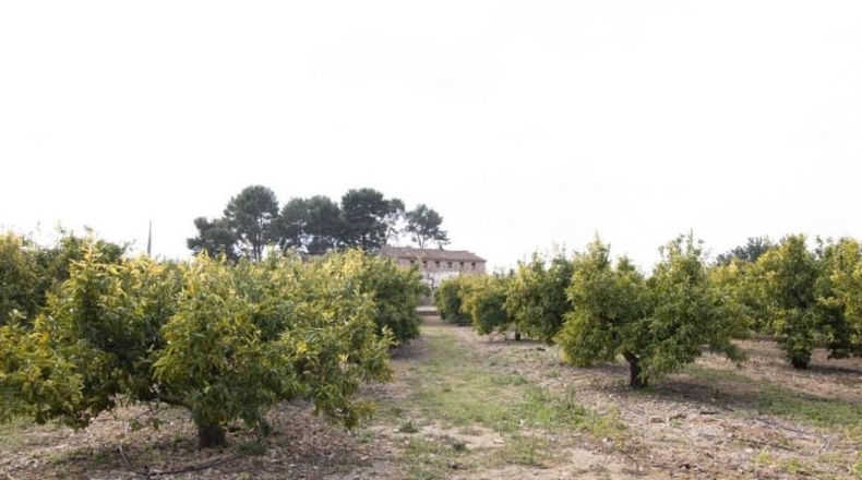 Tarragona - Santa Bàrbara - 41747m2