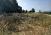 Urban land for sale on España, Torrent, ref: TR117953 photo