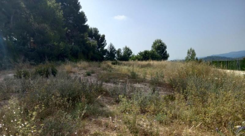 València - Torrente - 1521m2
