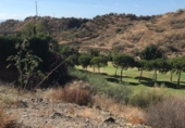 Parcela urbanizable en venta en la España, Rincón de la Victoria, ref: TR118686 foto