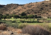 Parcela urbanizable en venta en la España, Rincón de la Victoria, ref: TR118686 foto