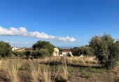 Sòl urbà en venda a la España, Castellvell del Camp, ref.: TR123585 foto
