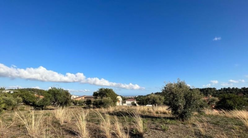 Tarragona - Castellvell del Camp - 774m2