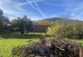 Xalet independent amb terreny en venda a la España, El Tiemblo, ref.: TR198751 foto