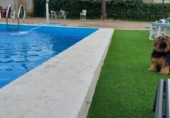Country house with land for sale on España, Torrent, ref: TR161667 photo