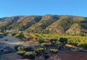 Country house with land for sale on España, Torrent, ref: TR161667 photo