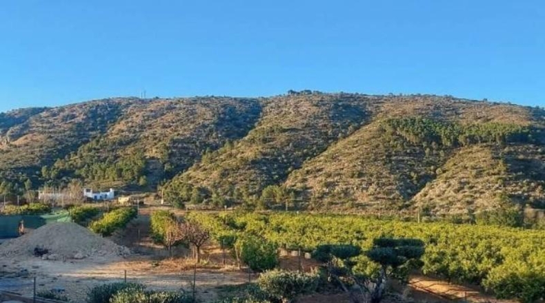 Valencia - Torrente - 1516m2