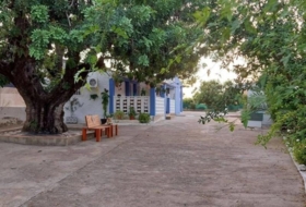 Foto 15