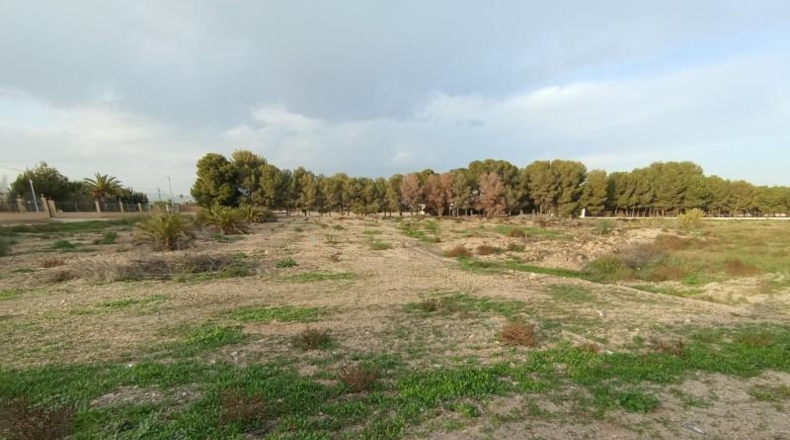 Murcia - Puerto Lumbreras - 14853m2