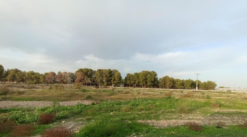 Murcia - Puerto Lumbreras - 14853m2
