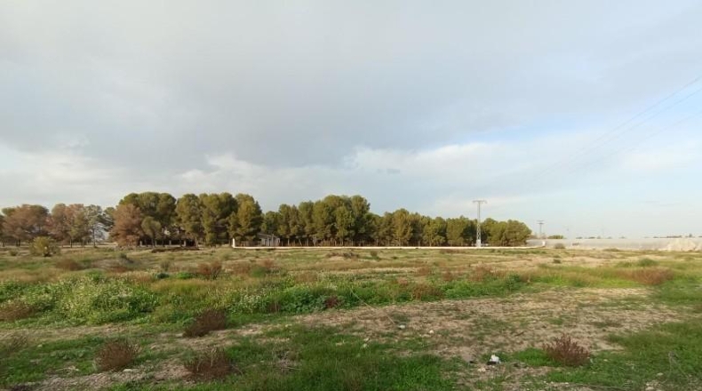Murcia - Puerto Lumbreras - 14853m2