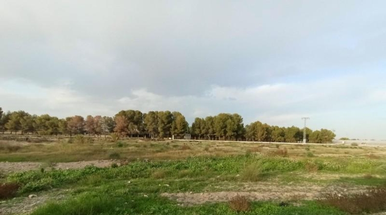 Murcia - Puerto Lumbreras - 14853m2