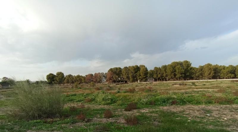 Murcia - Puerto Lumbreras - 14853m2