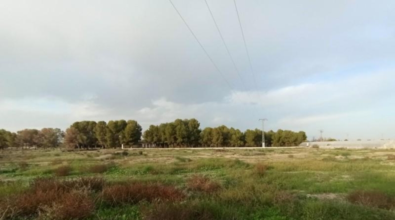 Murcia - Puerto Lumbreras - 14853m2