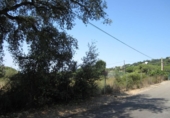 Terreny no urbanitzable en venda a la España, Santa Cristina d'Aro, ref.: TR166782 foto