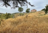 Xalet independent amb terreny en venda a la España, Copernal, ref.: TR169681 foto