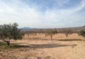 Casa de camp amb terreny en venda a la España, el Pinós, ref.: TR146018 foto