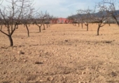 Casa de camp amb terreny en venda a la España, el Pinós, ref.: TR146018 foto