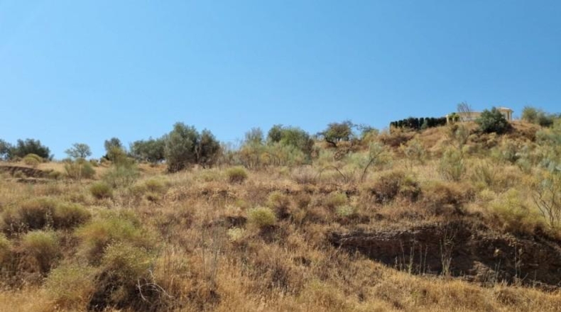 Málaga - Viñuela - 31900m2