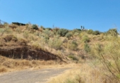 Terreno no urbanizable en venta en la España, Viñuela, ref: TR118186 foto