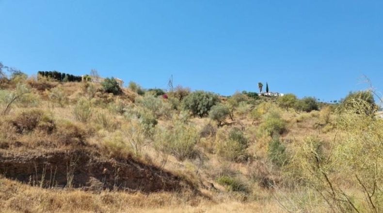 Málaga - Viñuela - 31900m2